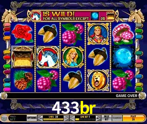 VIP Casino 433br